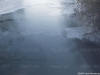 Carol Armstrong - Dam Water