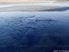 Carol Armstrong - Ocean 2