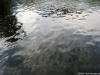 Carol Armstrong - St. Petersburg Reflect 2